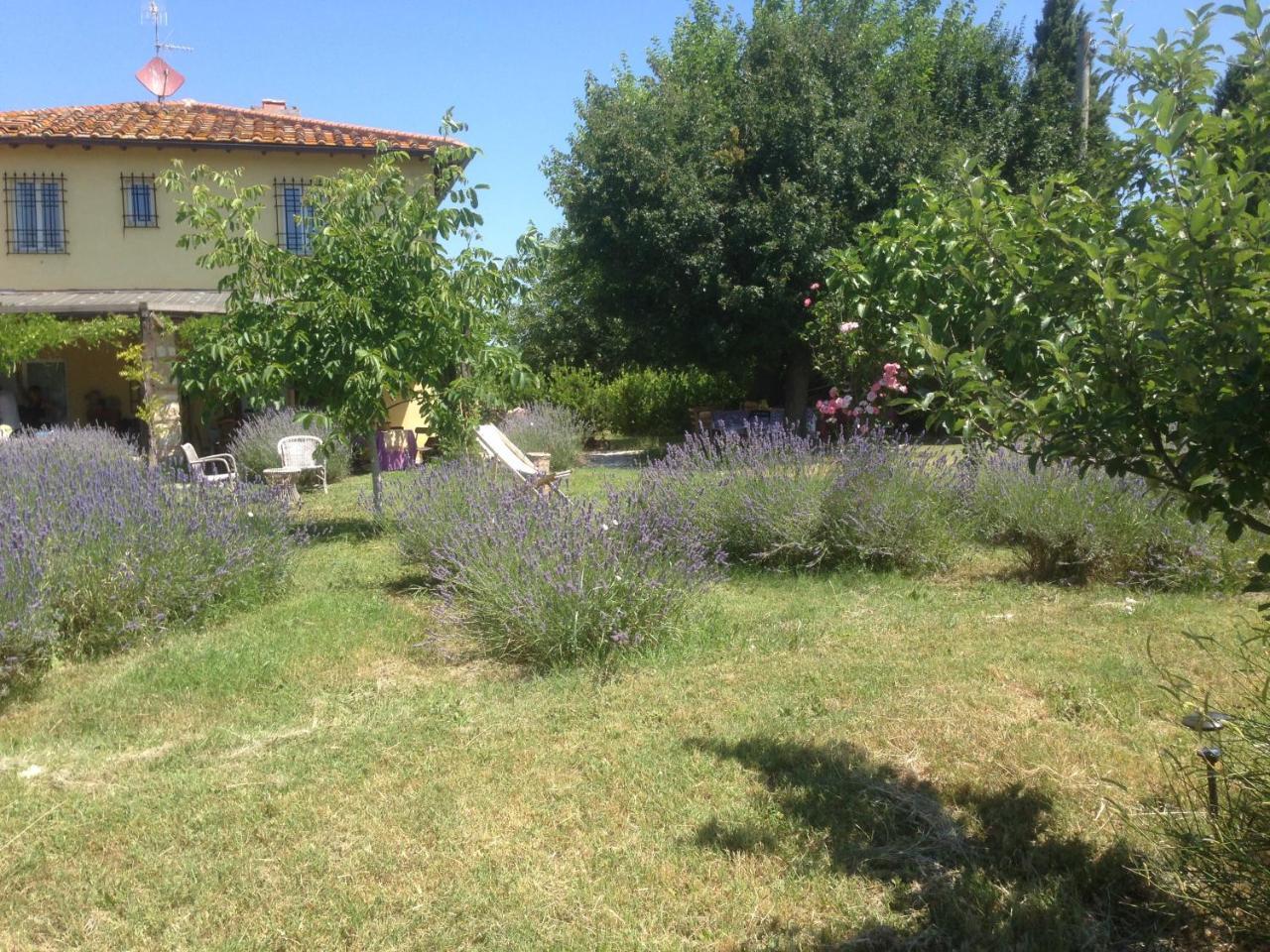 Agriturismo Papageno Rignano sull'Arno Buitenkant foto